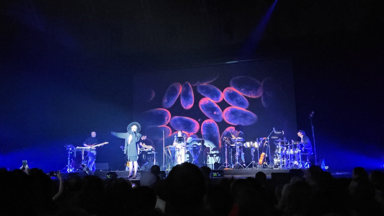 Róisín Murphy Overpowered Amsterdam 2024-03-07