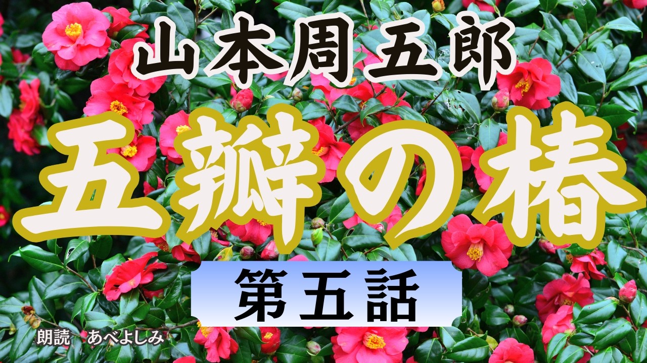 【朗読】山本周五郎「五瓣の椿」第五話　　　朗読・あべよしみ