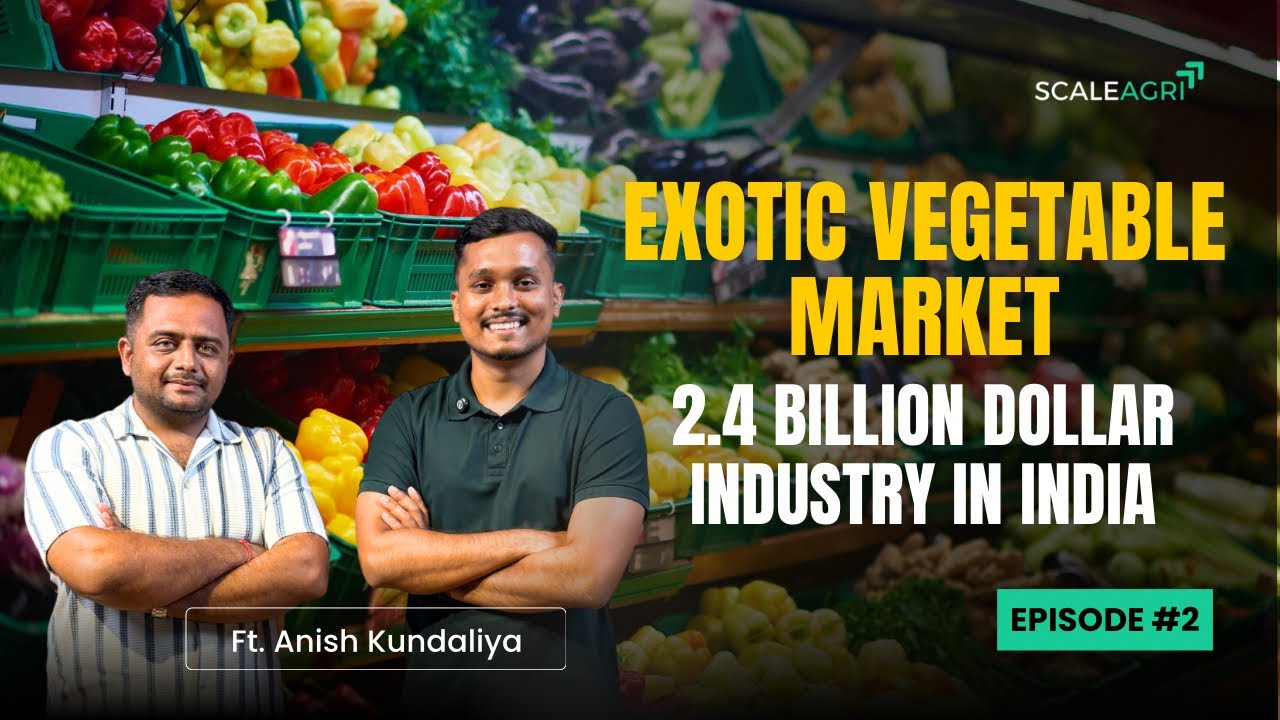 Exotic Veggies Business | Anish Kundaliya | An Agriprenuer from Rajkot
