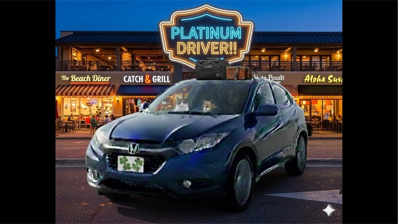 Friday platinum DoorDash driver