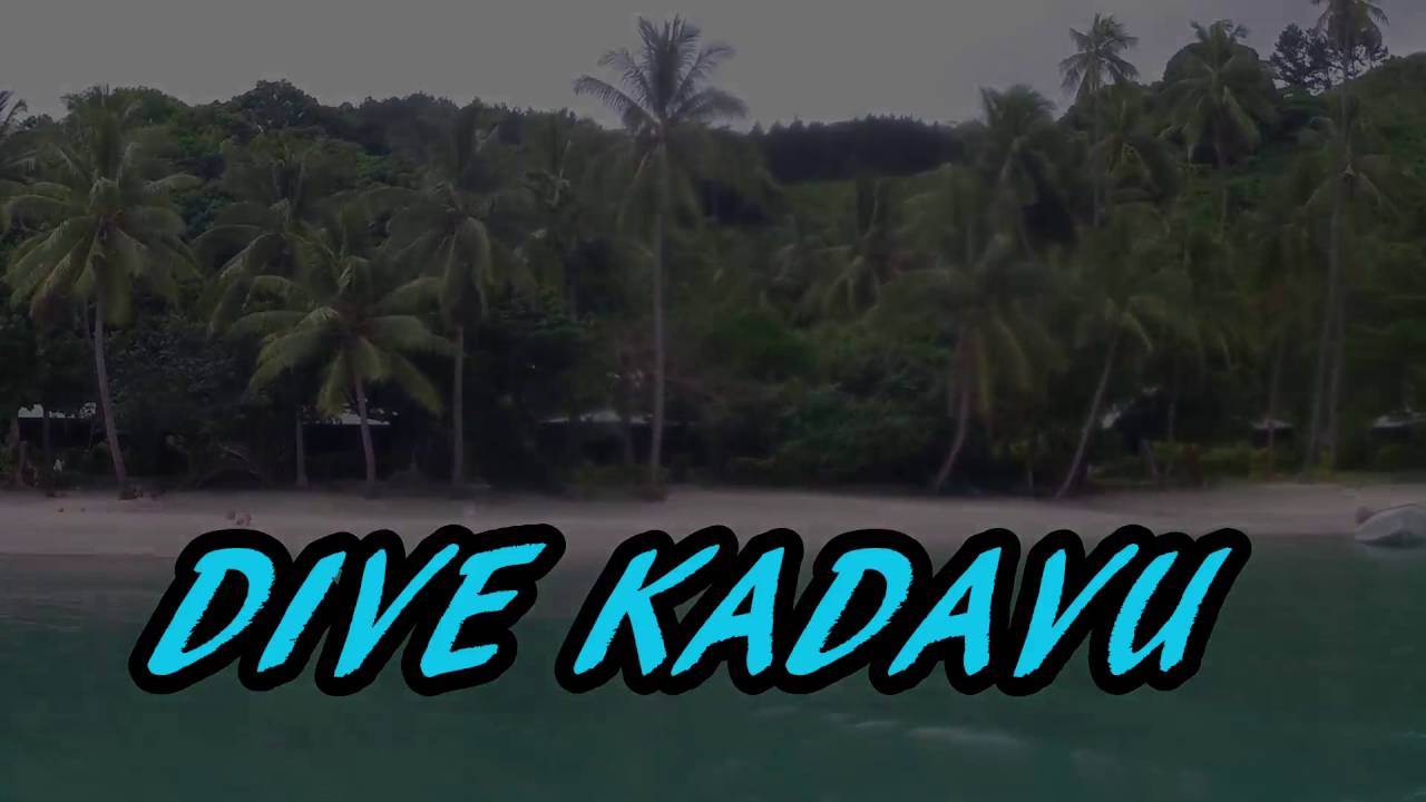 Dive Kadavu