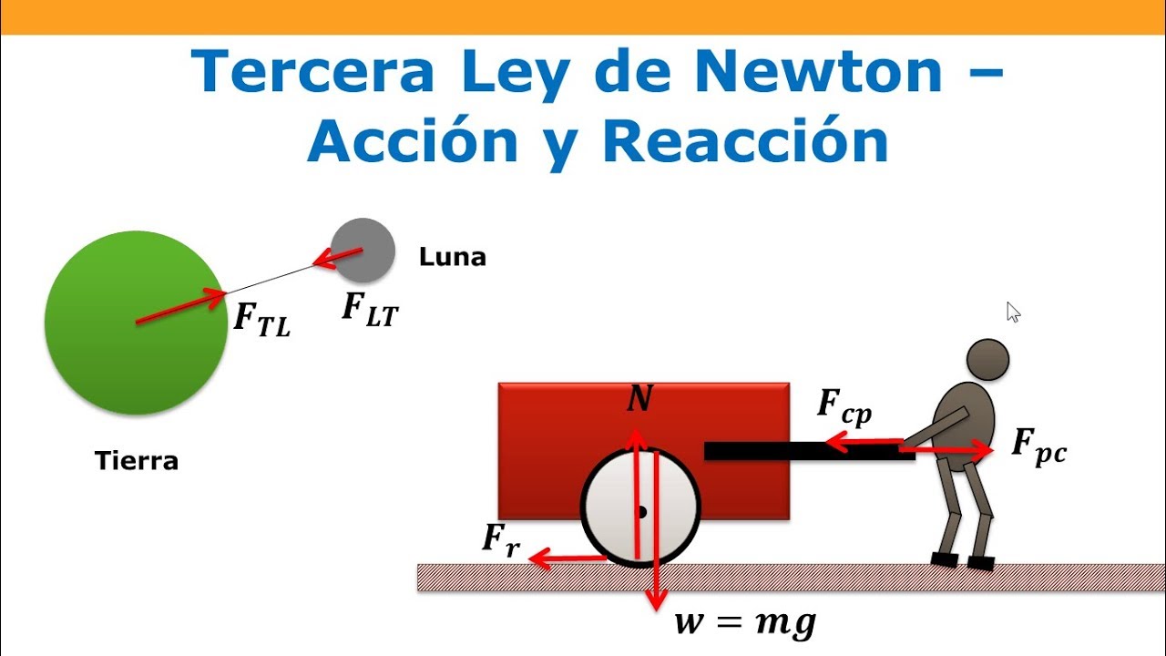 Tercera Ley de Newton - Las Leyes de Newton