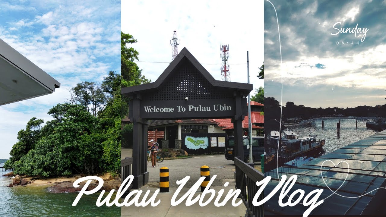 Pulau Ubin Vlog 乌敏岛之旅, Chek Jawa Wetlands, exploring and being a tourist my country | Singapore