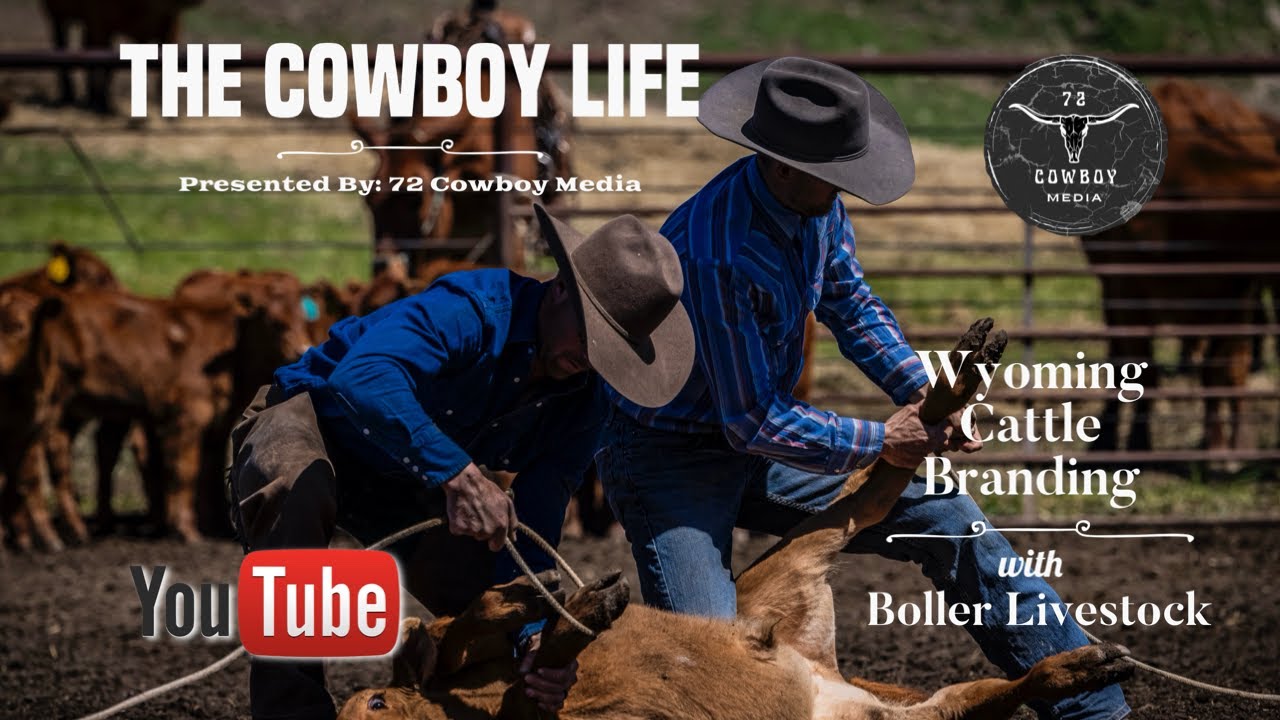Wyoming Cattle Branding | Boller Livestock | Ranch Life | Western Way of Life | 72 Cowboy Media