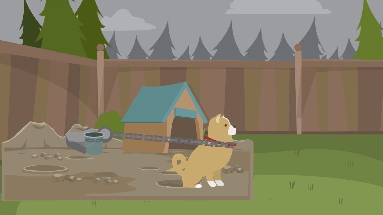 The Story of a Chained Dog