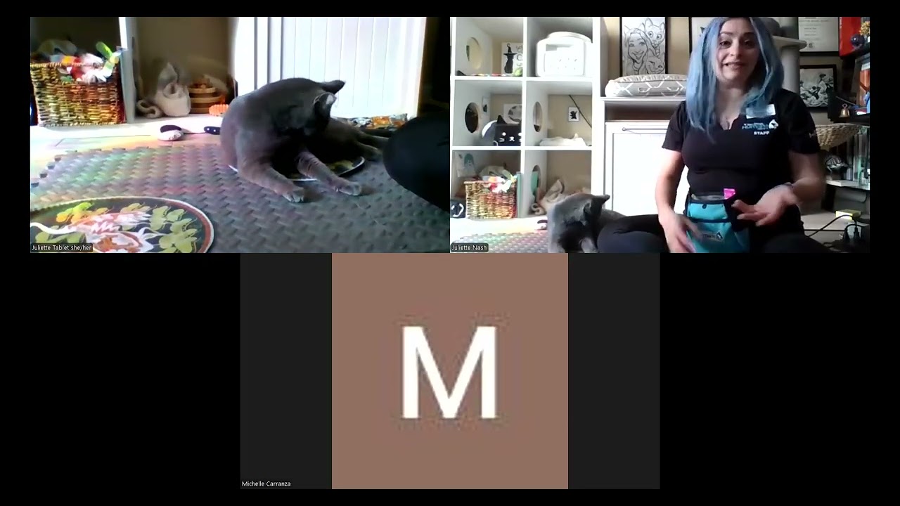 The Well-Socialized Pet Chat: Conditioning Body Handling - with Husbandry demos!