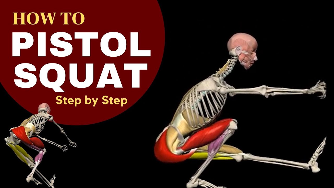 The anatomy of the Pistol Squat (Step-by-Step Progression) 3D anatomy
