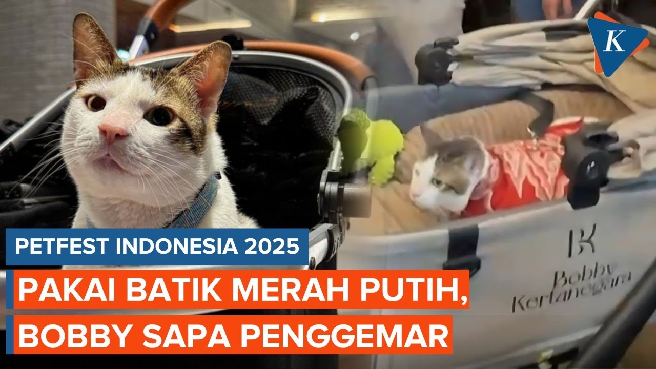 Kucing Prabowo, Bobby Kertanegara Hadir di PetFest 2025