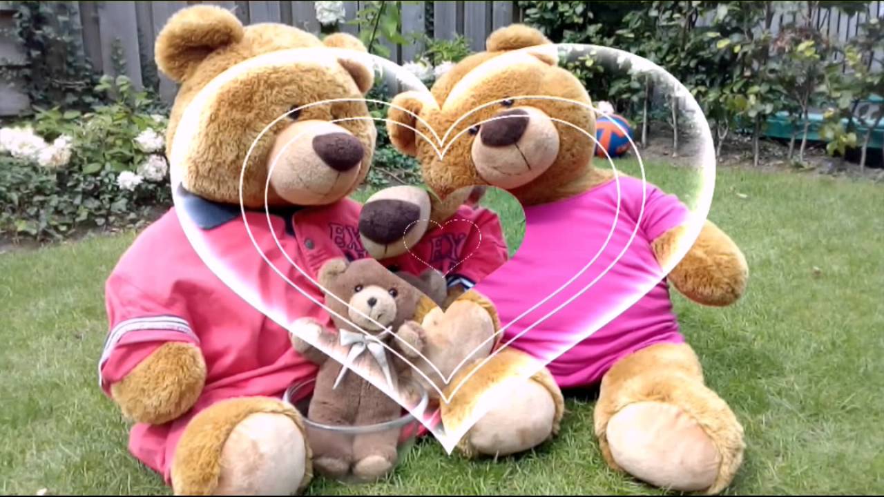 Family Bear - the birth of baby Dolly