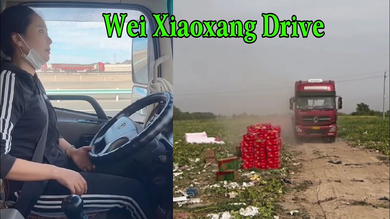 Женщина-тракторист Xiaoxang и путешествие по перевозке сельскохозяйственной продукции