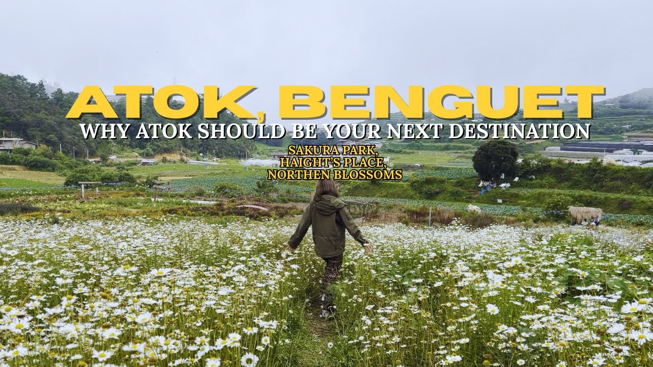 Why Atok Should Be Your Next Trip   Sakura Park, Haight's Place, Northern Blossoms