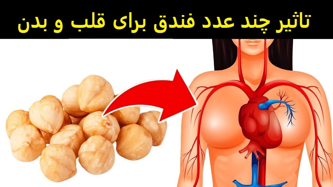 تاثیرات چند عدد فندق با روی بدن شگفت زدتان میکند