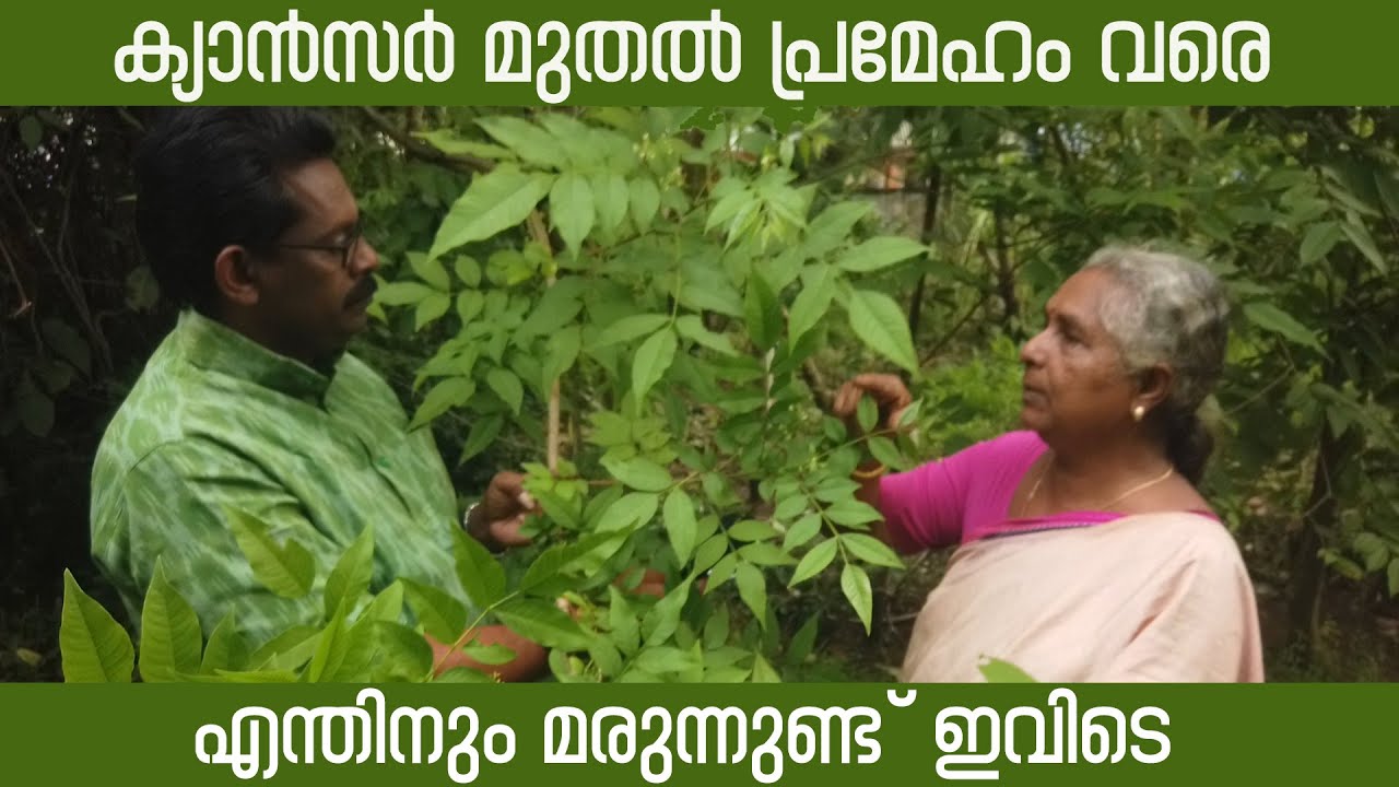 സരസ്വതിയമ്മയുടെ അത്ഭുത മരുന്ന് വീട്/Miracle Medicine House