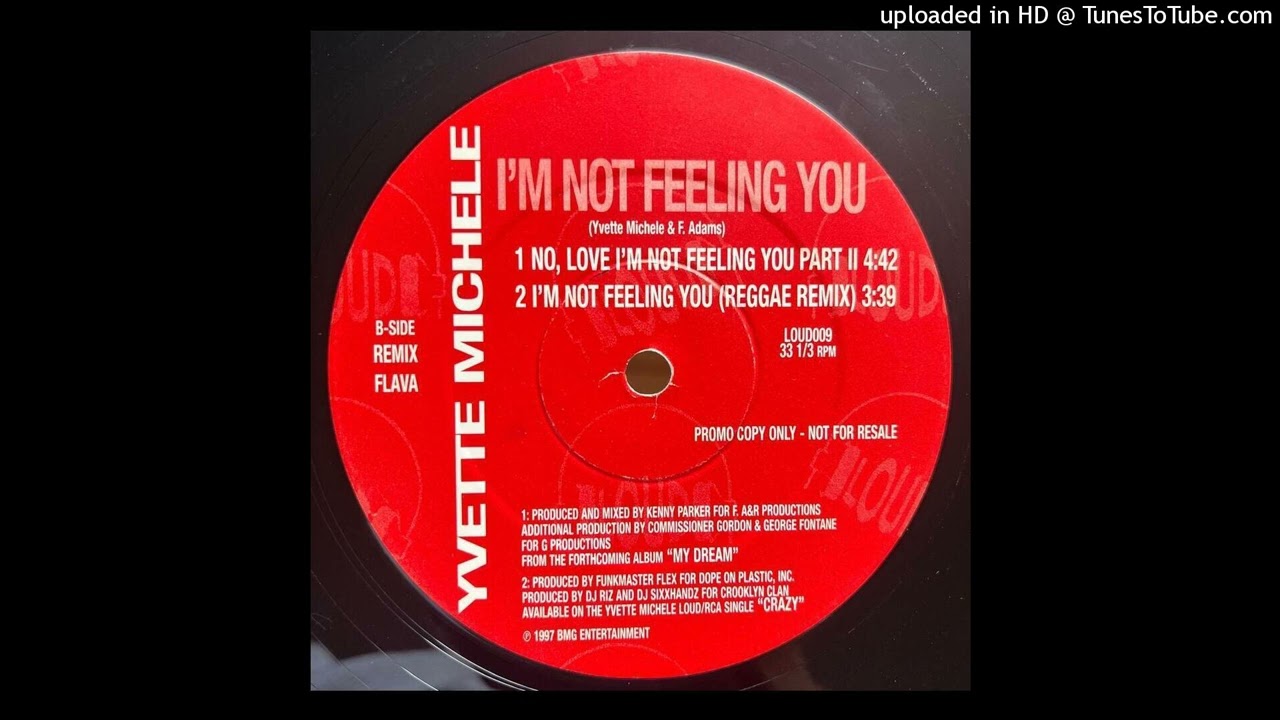 Yvette Michele - I'm Not Feeling You (Reggae Mix)
