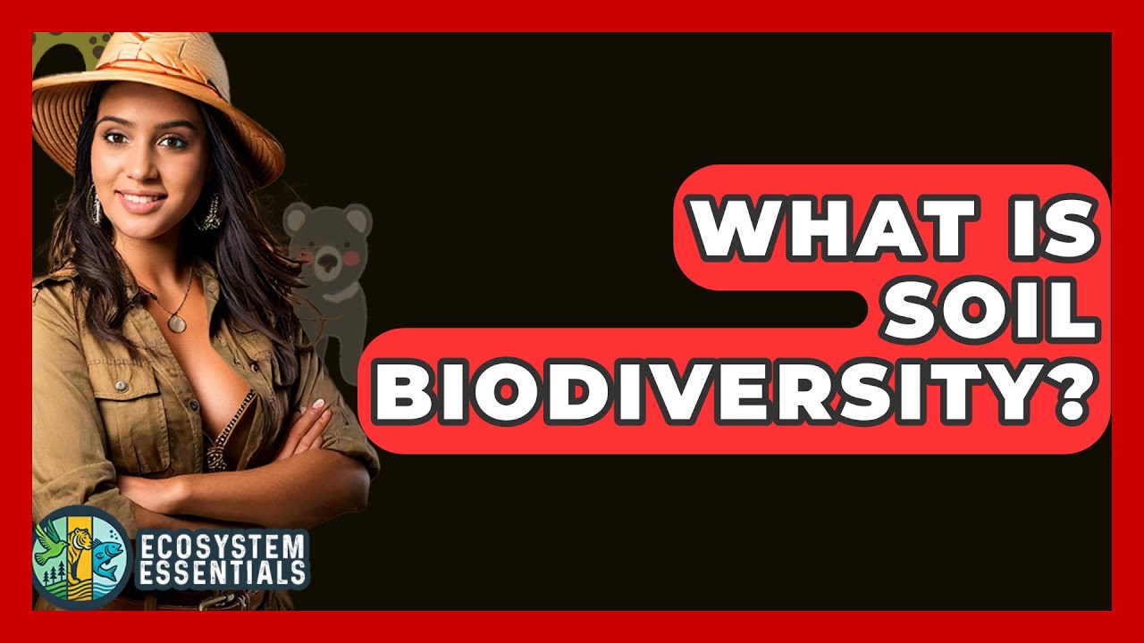 What Is Soil Biodiversity? - Ecosystem Essentials