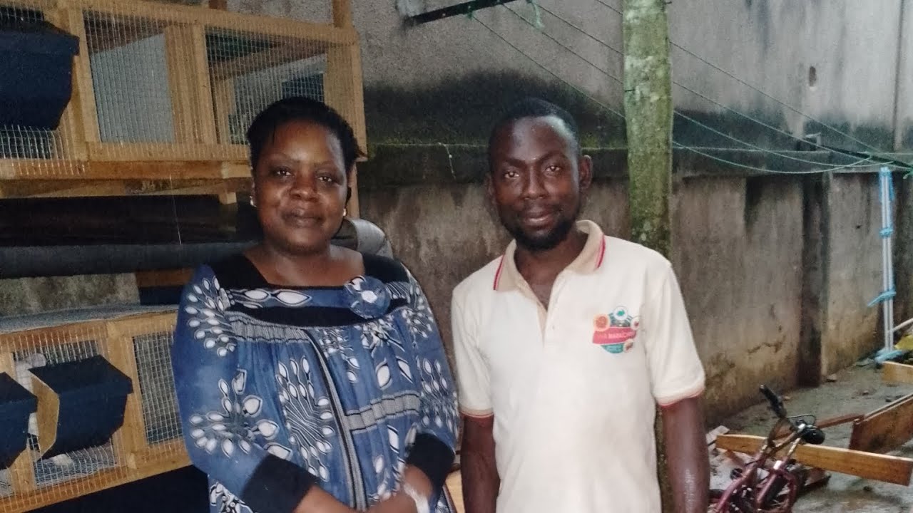 Comment élever des lapins (cuniculture) sans bâtiment : Centre Cameroun, Odja Yaoundé.