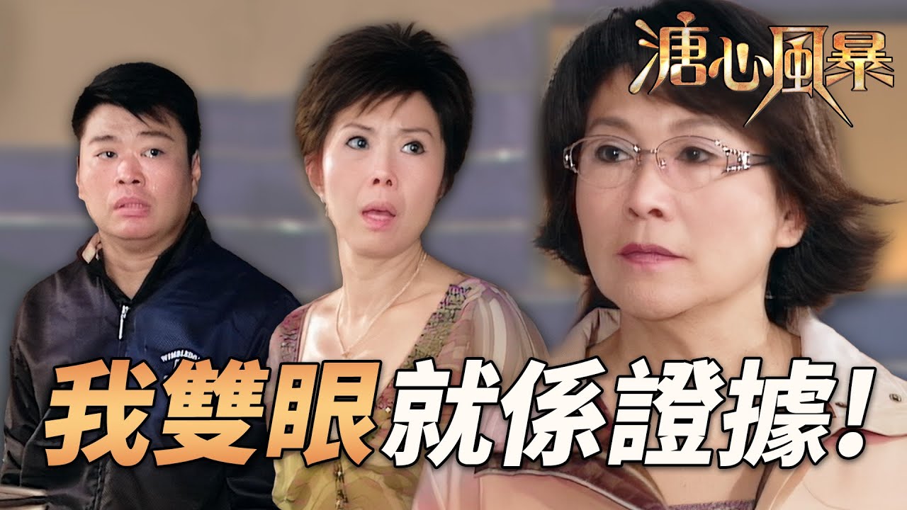 惡人先告狀，拒認穿櫃桶！大契霸氣現身：我雙眼就是證據｜溏心風暴｜陳豪｜林峯｜鍾嘉欣｜李司棋｜夏雨｜港劇精華｜TVB 劇集