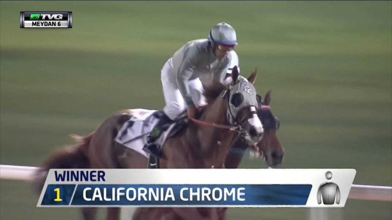 California Chrome Dazzles in Dubai