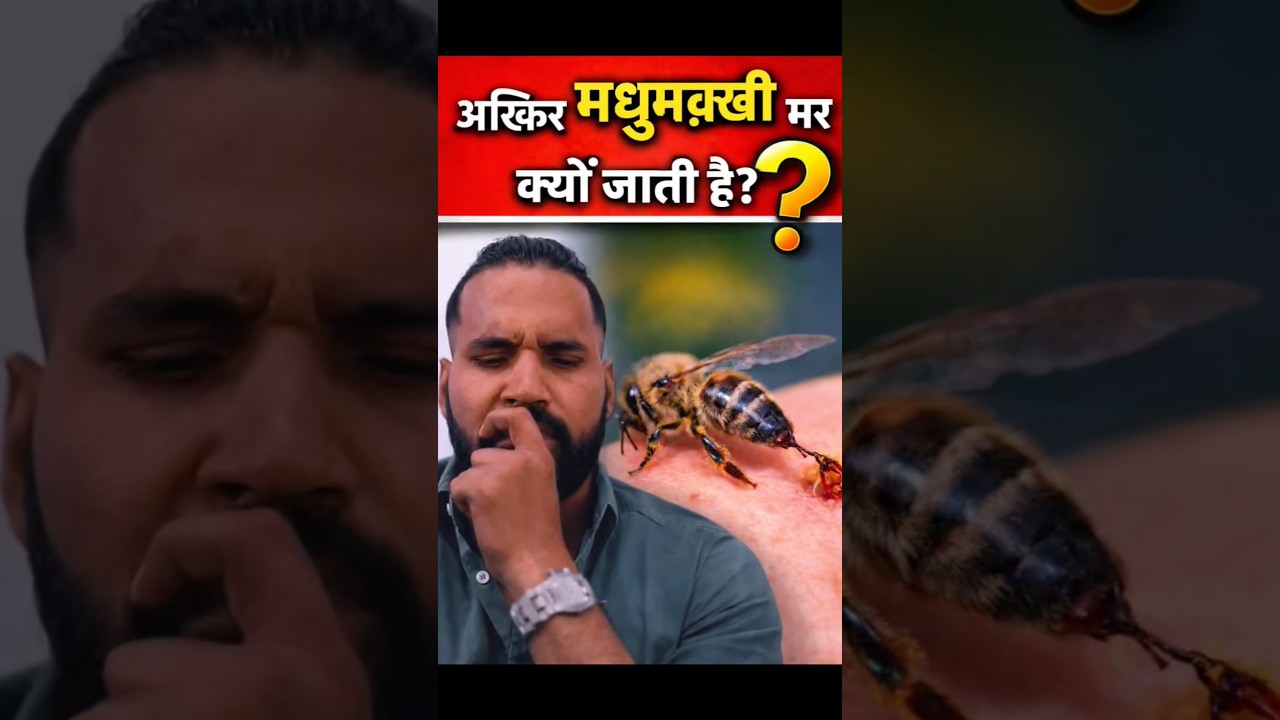 Why Does a Honey Bee Die After Stinging? 🐝😲