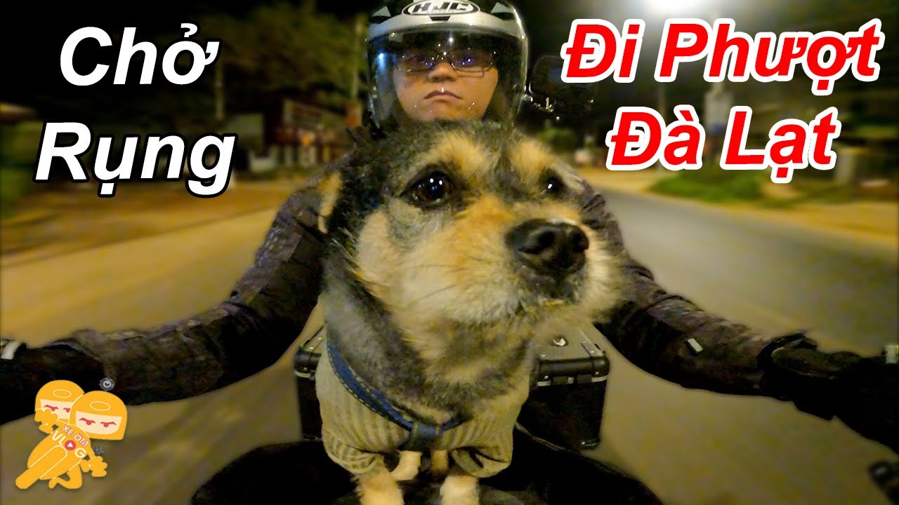 Chở Rụng Đi Phượt #1 Suzuki Gz150a - CHIẾC XE KHÔNG DÀNH CHO TUỔI TRẺ - Xe Ôm Vlog