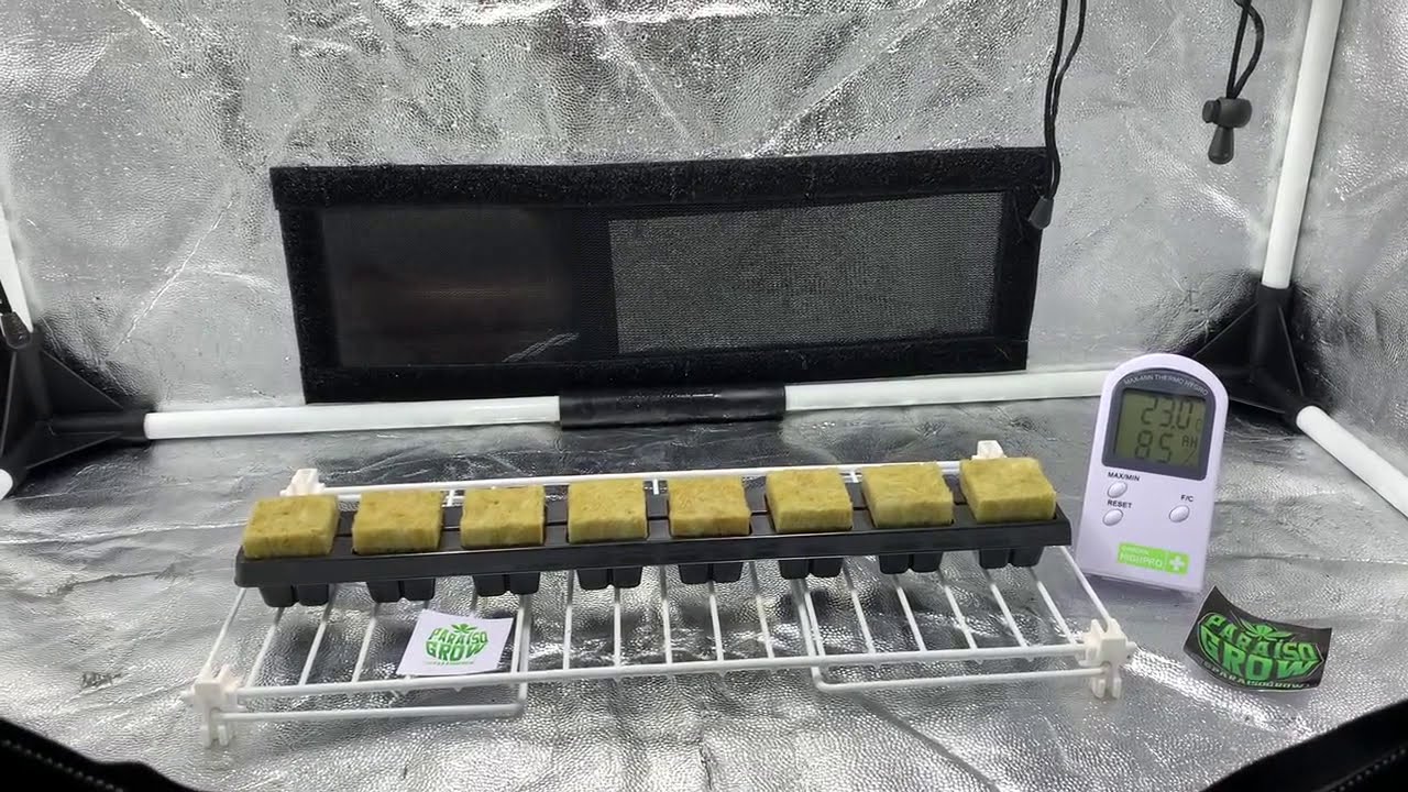 Estufa Para Cultivo Indoor Propagator - Garden Highpro (Para&iacute;so Grow)