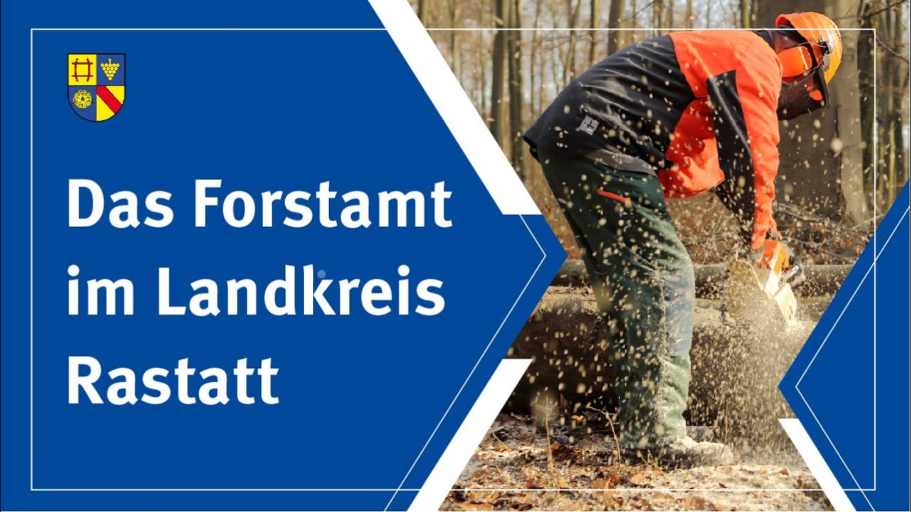 Das Forstamt im Landkreis Rastatt