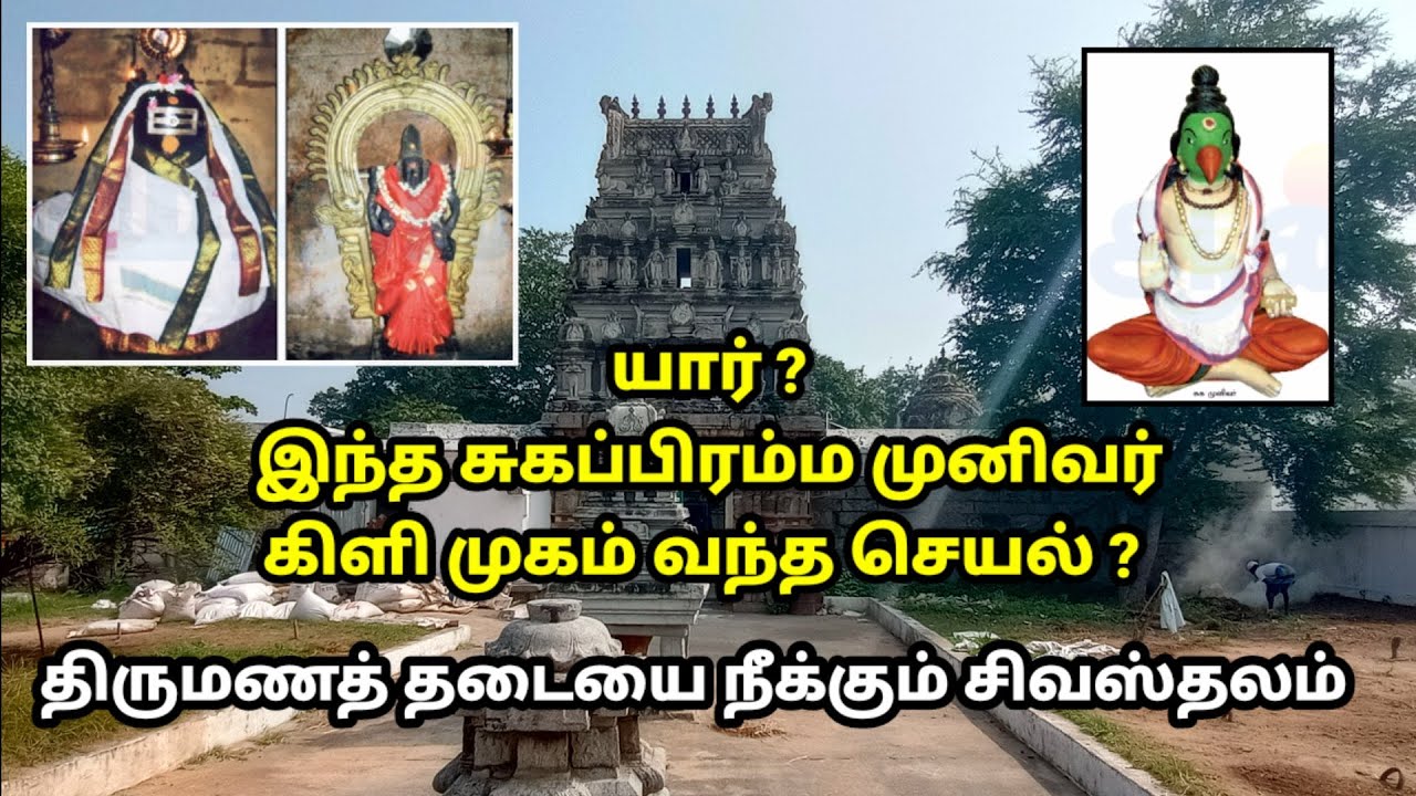 ஸ்ரீ மருதீஸ்வரர் கோவில் - டி. இடையாறு - விழுப்புரம் - தமிழ்நாடு