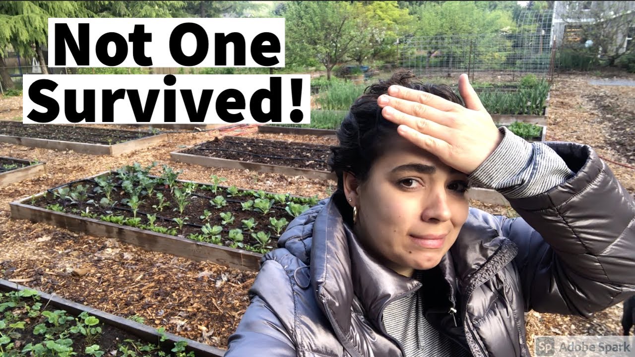 Early Spring Garden Tour | Making a Huge Mistake but it Won't Stop ME!