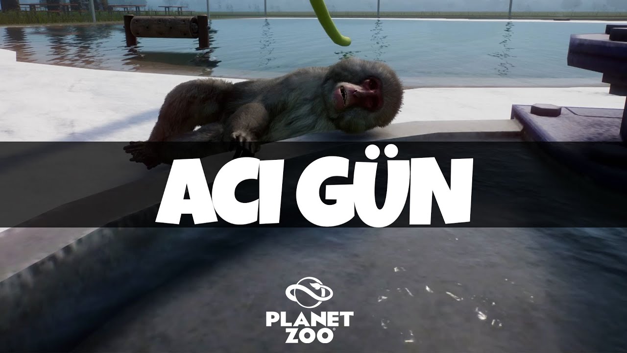 ACI GÜN! - PLANET ZOO