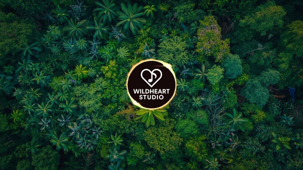 Jungleveil Sanctuary – 90 Minute Tropical Music Loop