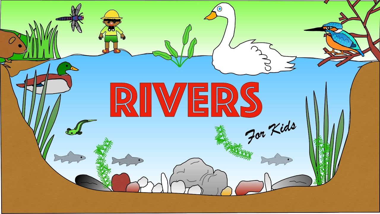 River Habitats for Kids | Facts and quiz | Rivers