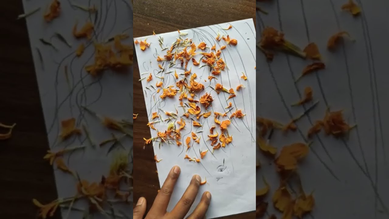 Shivani drawing academy is live