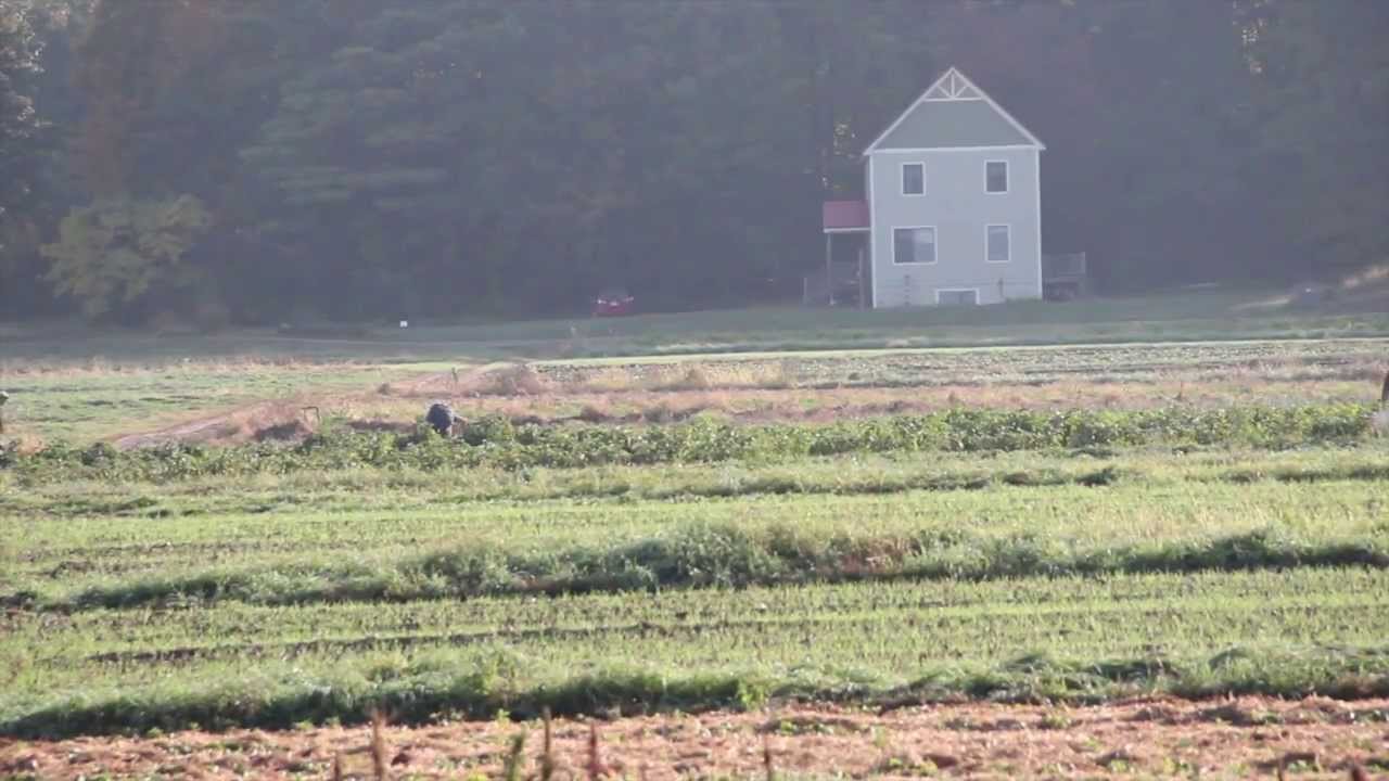 North Amherst Community Farm: A Once in a Lifetime Opportunity