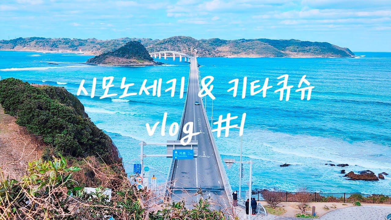 【한국워홀】4박5일 시모노세키 키타큐슈 여행 브이로그 | 부관훼리 | 츠노시마푸딩 | 츠노시마대교 | 그란비스타 츠노시마 | 포포로 | 모토노스미신사 | 단노우라PA | 펑키타이거