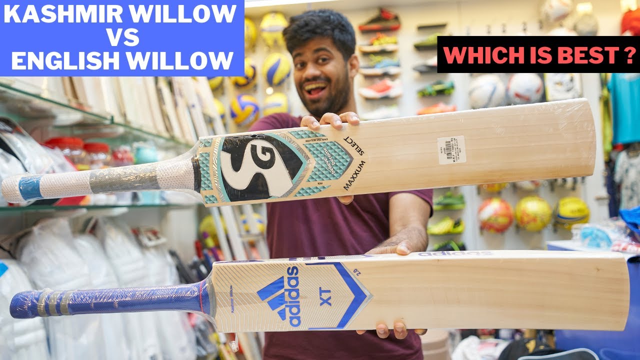ENGLISH VS KASHMIR WILLOW Cricket Bat | Difference ?