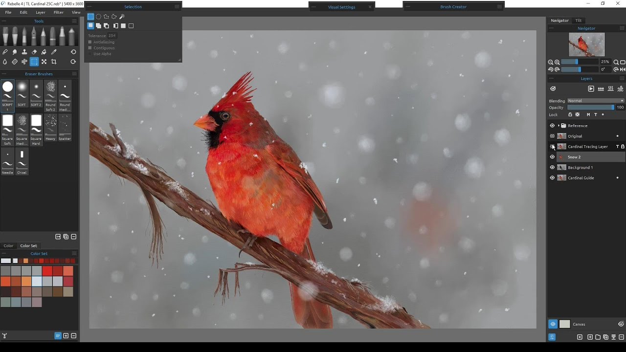 Rebelle 4 - Tracing Layer Series - Cardinal With Freehand