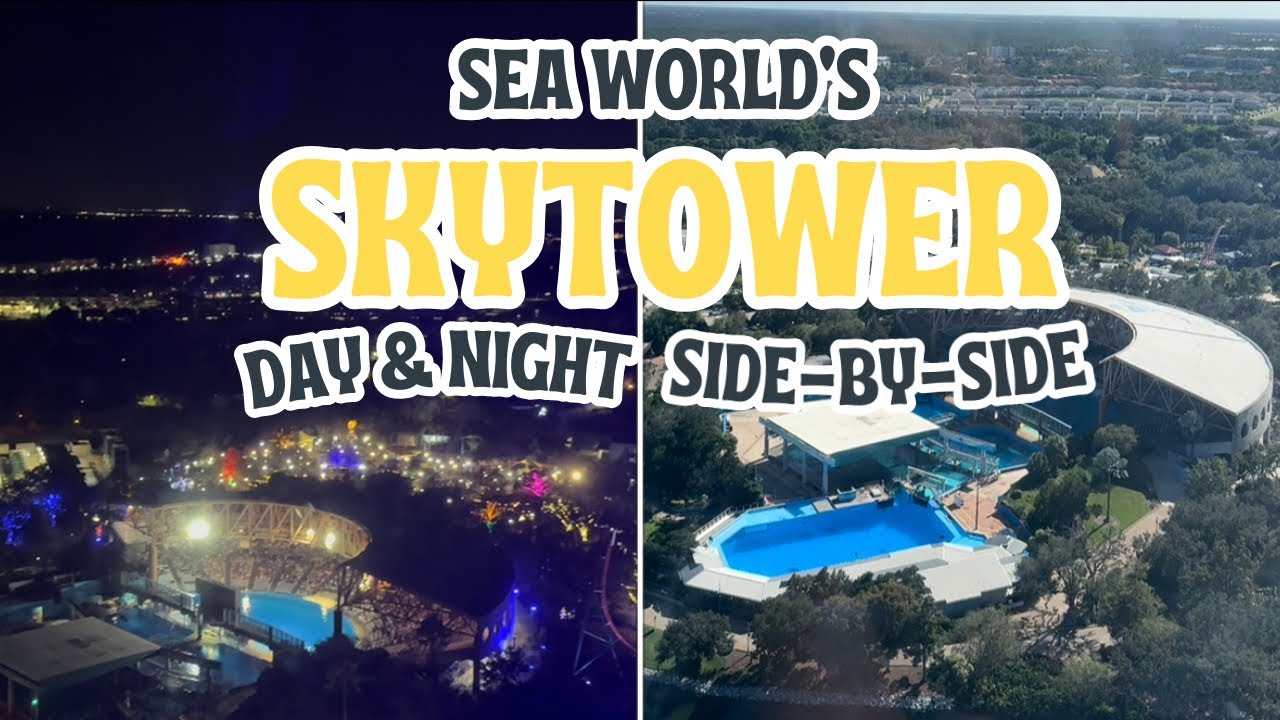 Check out the View from Sea World Orlando’s Skytower - Day and Night!