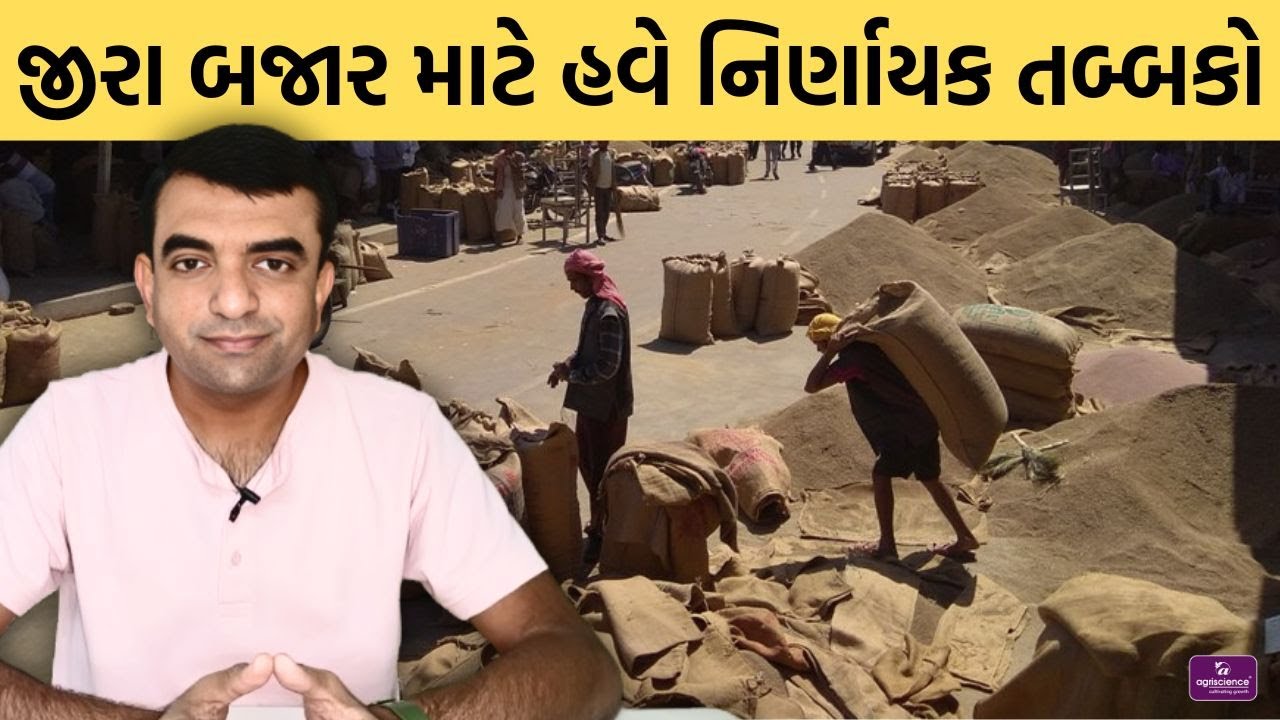 જીરા બજારને અસર કરતુ મુખ્ય પરિબળ | Jeera | Agriscience