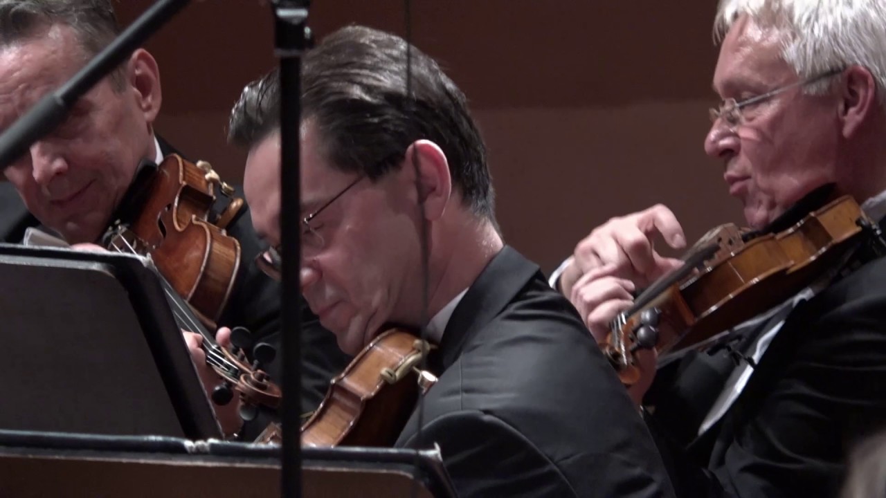 Leroy Anderson - Plink, Plank, Plunk /Anna Duczmal-Mróz conductor