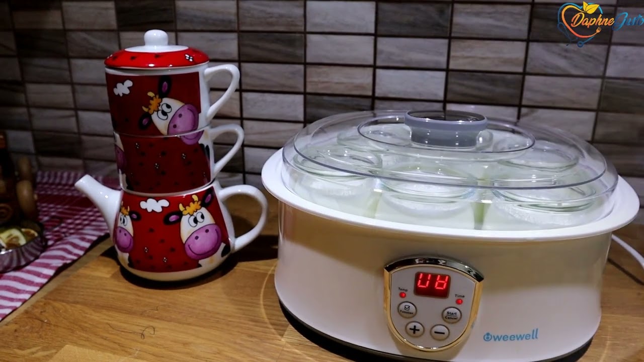 WEEWELL YOĞURT MAKİNASI - Bebek Yoğurdu Nasıl Yapılır - Kolay Yoğurt Mayalama - Ek Gıda Yoğurt