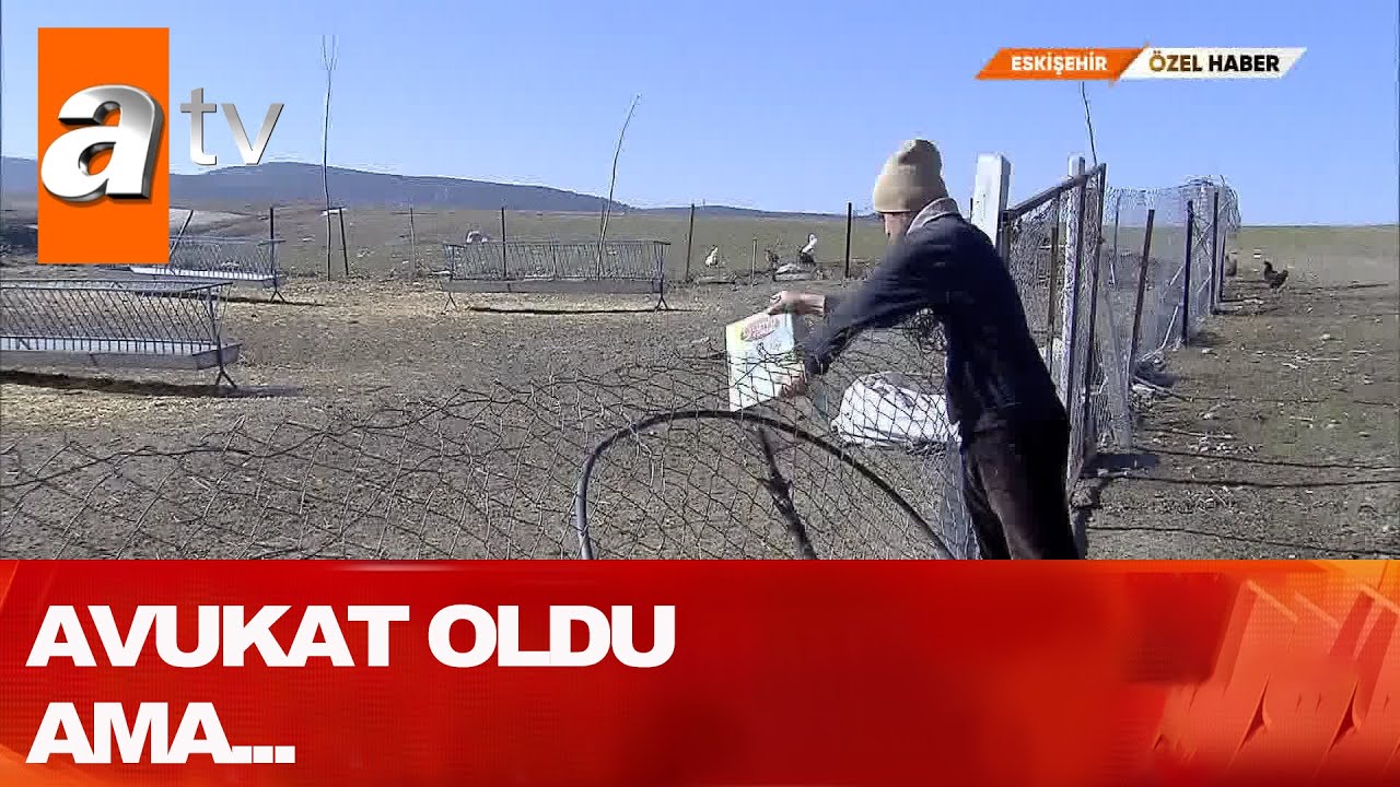 Avukat çoban!  - Atv Haber 27 Şubat 2021