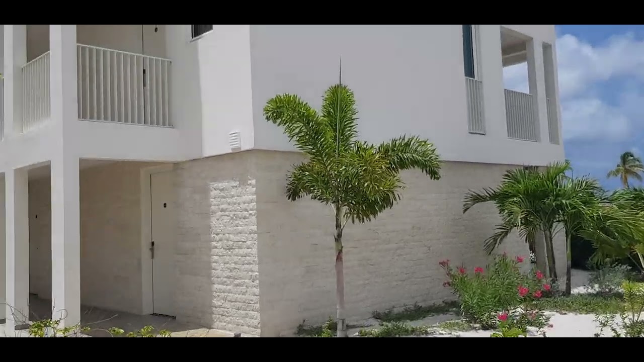 Chogogo Bonaire 2022