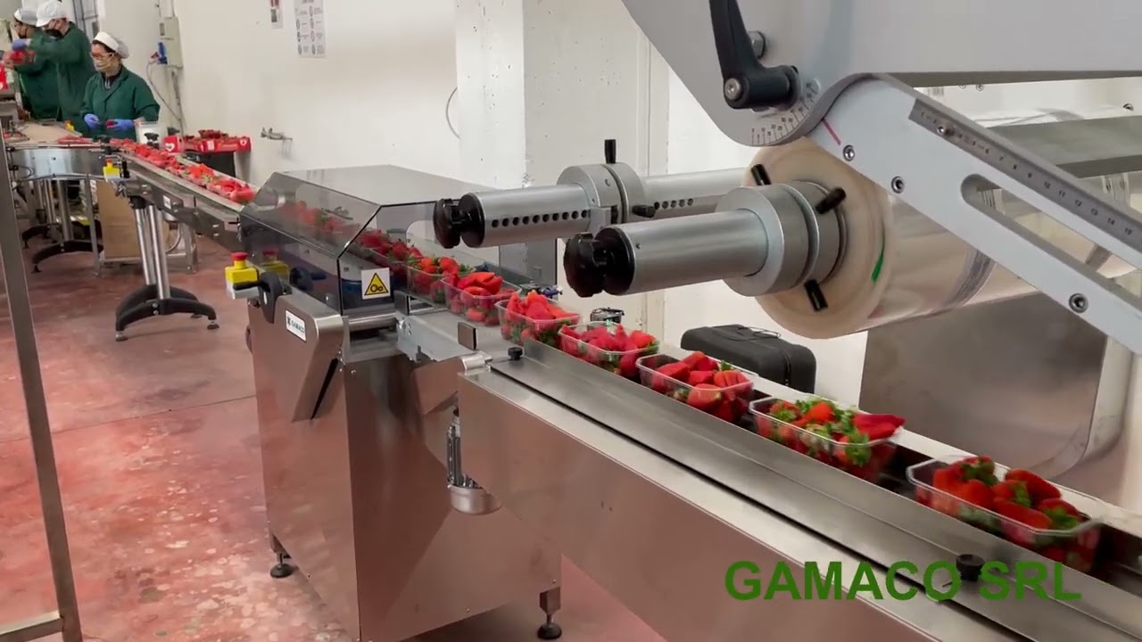 GAMACO - LINEA DI LAVORAZIONE PER FRAGOLE - STRAWBERRIES WORKING LINE