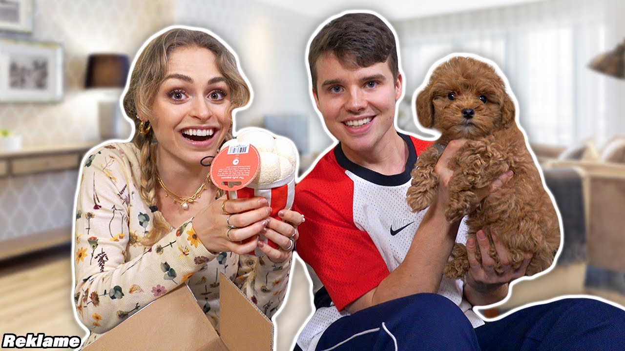 BALOO FÅR EN MAKEOVER + HUNDEHAUL *vlog*