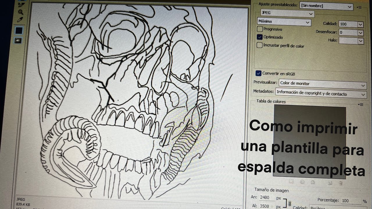 Como dividir una imagen en partes para imprimír una plantilla para un tatuaje de espalda completa 🙃