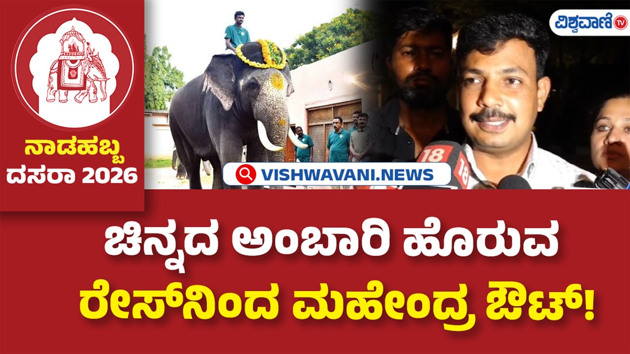 Mysuru Dasara 2026 | Elephant Mahendra | ಚಿನ್ನದ ಅಂಬಾರಿ ಹೊರುವ  ರೇಸ್&zwnj;ನಿಂದ ಮಹೇಂದ್ರ ಔಟ್! | Vishwavani TV