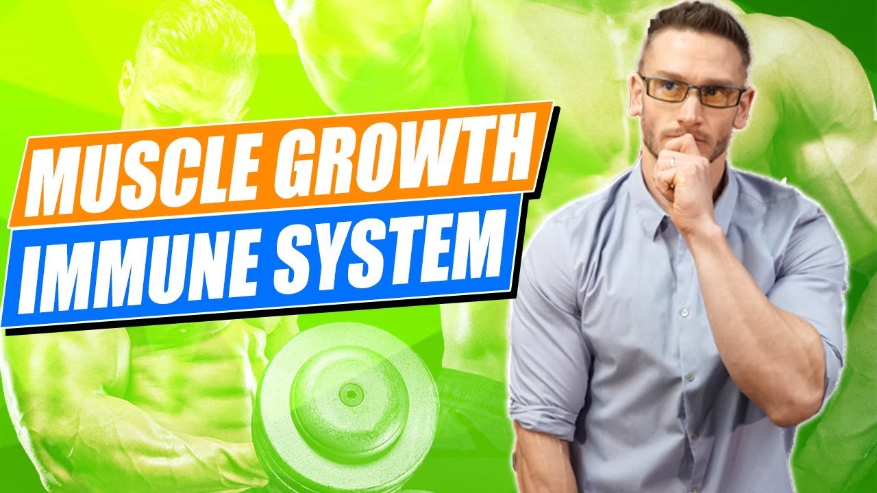 Muscle Growth | Immune System | Build Muscle the Right Way | Understanding IGF-1- Thomas DeLauer