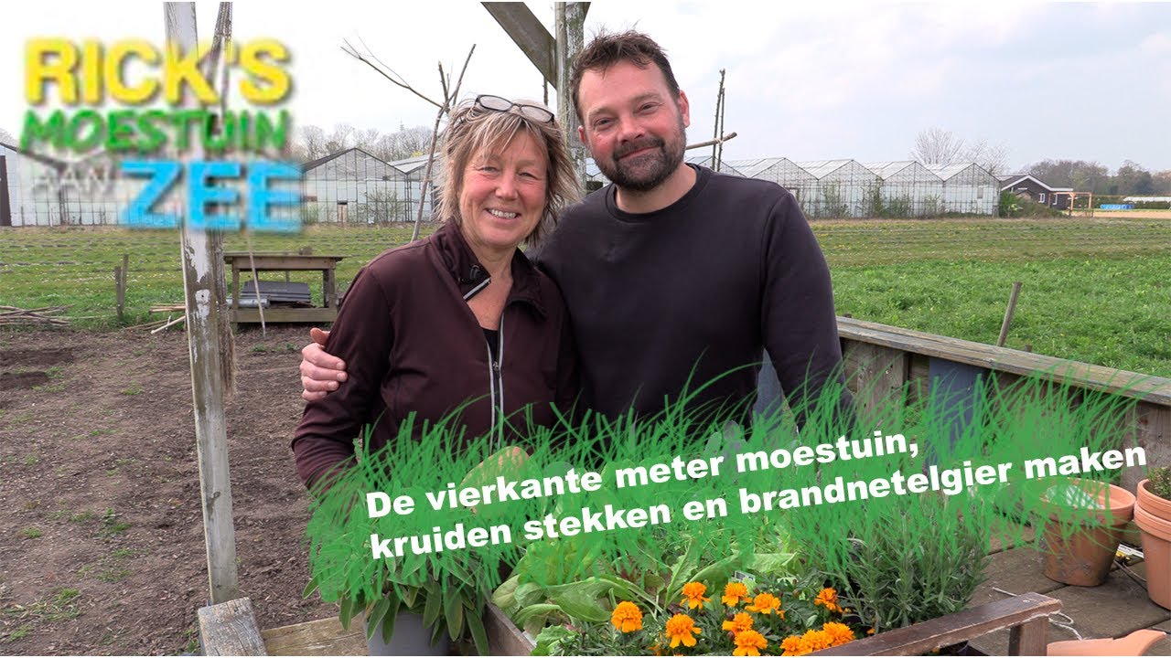 De vierkante meter moestuin, kruiden stekken en brandnetelgier maken | Rick's Moestuin aan Zee