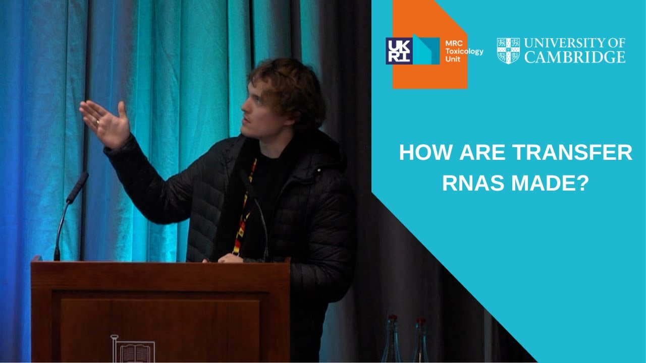 2023 3MT Competition | Roberto Campalastri | How are tRNAs made?
