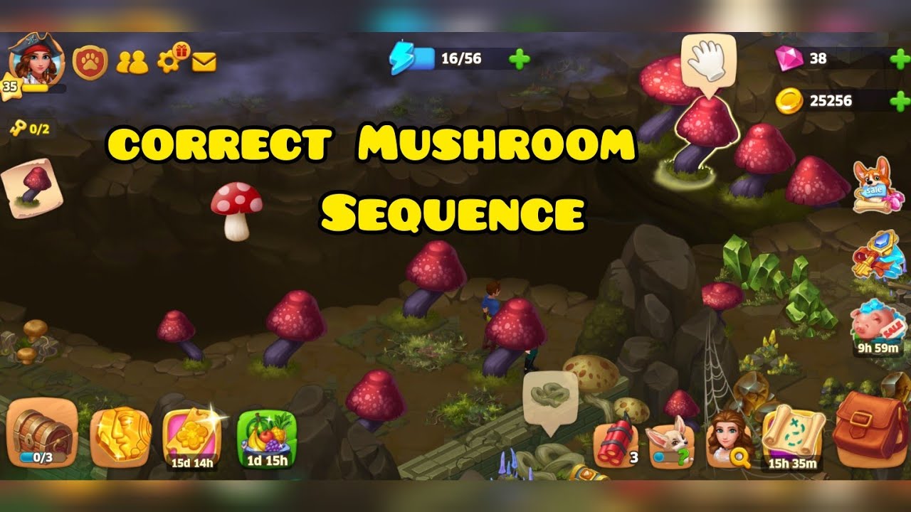 Island Hoppers/lvl 35 -Ancient Catacombs/Solving Puzzle/ Correct the Mushroom sequence/Android